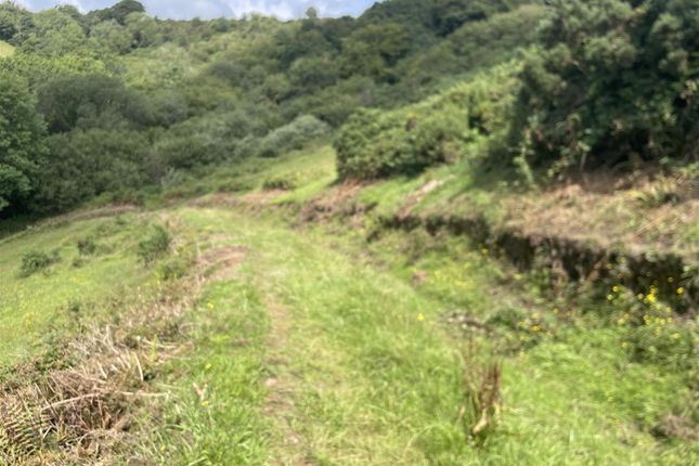Img_0439.Jpeg