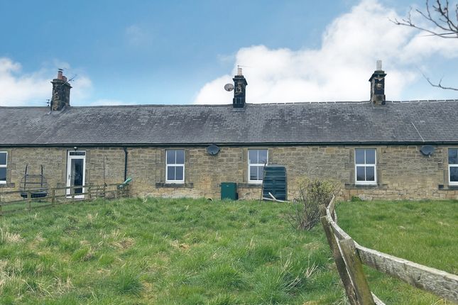 Cottage to rent in Trewhitt Steads Cottages, Thropton, Morpeth, Northumberland NE65