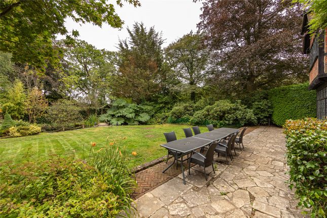 Terrace And Lawn