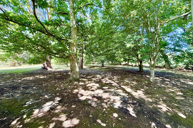 Marsh Cottage, The Loke, North Walsham photo 3