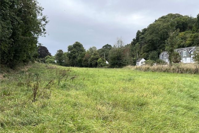Land at Little Petherick, Little Petherick, Wadebridge photo 5