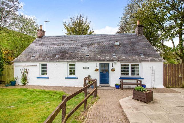 Thumbnail Cottage for sale in Bridgend, Edzell, Brechin, Angus