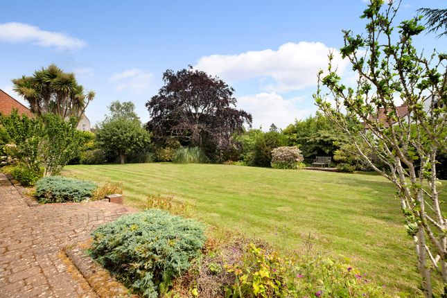 Detached house for sale in West Avenue, Exeter, Devon