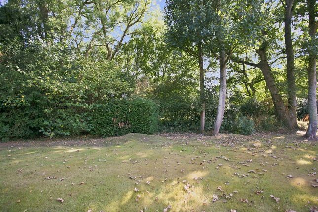 18 Dumbrells Court, North End, Hassocks photo 4