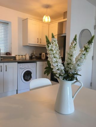 Flat to rent in Sussex Place, Belfast