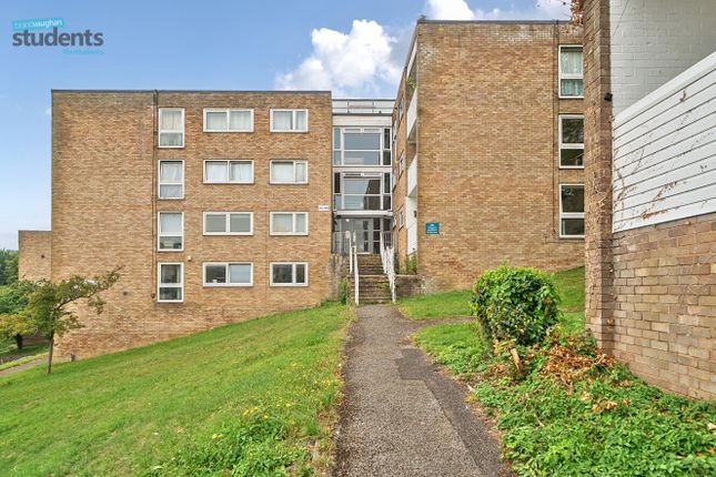 B53Cfaf3-0Be6-4c2...