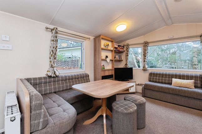 121, Woodling Cresent, Sandyballs, Fordingbridge photo 4