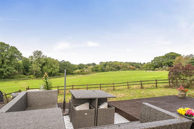 Sunny Mead, Melbury Osmond, Dorchester photo 4