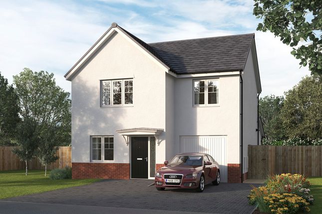 Thumbnail Detached house for sale in "The Ivystone" at Corpach Place, Hamilton