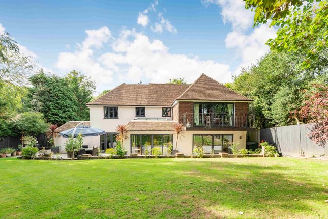 Thumbnail Detached house for sale in School Road, Windlesham, Surrey