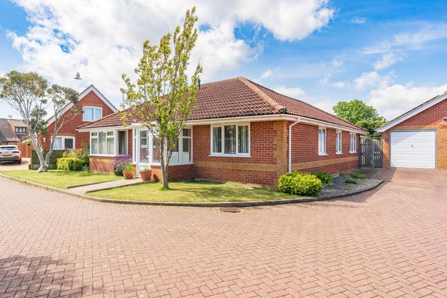 Thumbnail Detached bungalow for sale in Scroby Court, Scratby, Great Yarmouth