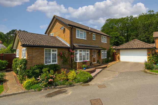 Thumbnail Detached house for sale in Paddock Grove, Beare Green, Dorking
