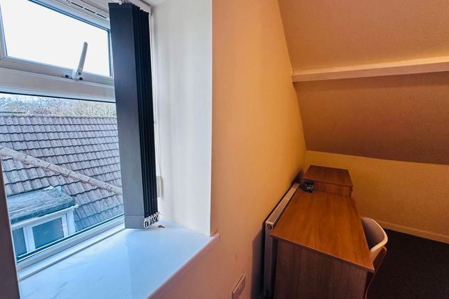 Room 6, 67a Walter Road, Swansea photo 4