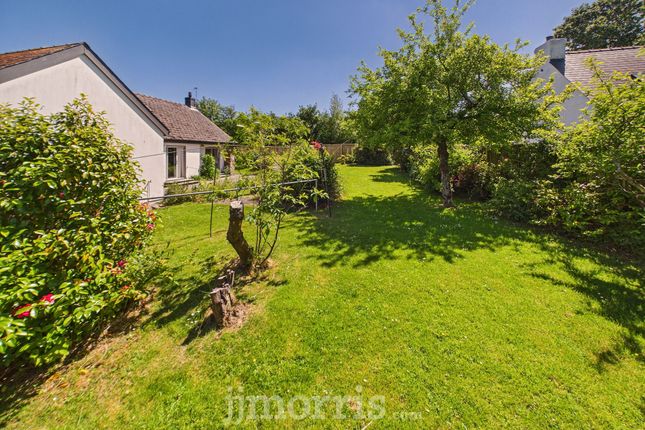 Ystrad Fflur Long Street, Newport photo 4