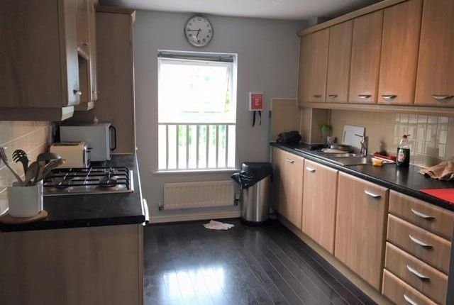 Room 4, 16, Circus Square, Colchester photo 5