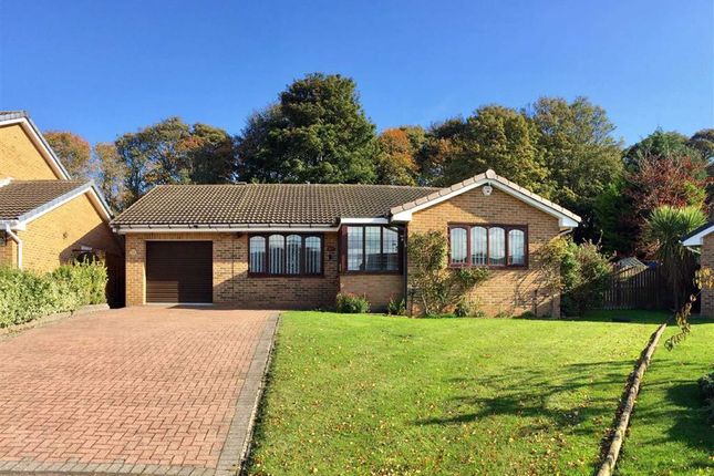 South Shields bungalows for sale | Buy houses in South Shields