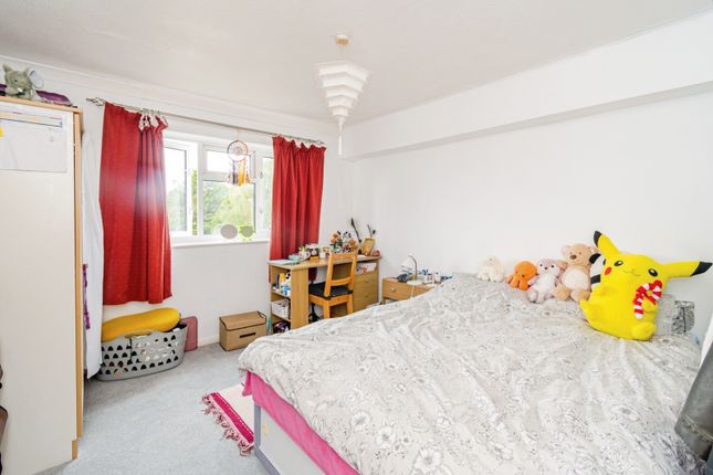 42, Winchester photo 4