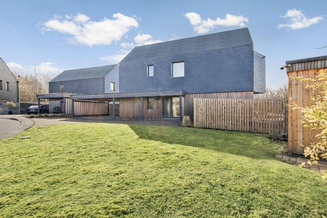72, Carlisle Road, Hamilton photo 2