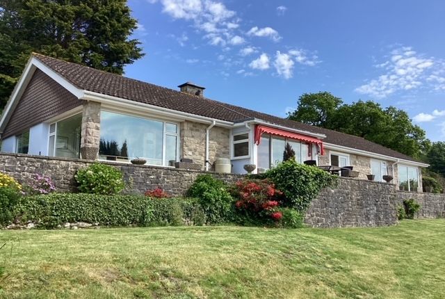 Thumbnail Bungalow for sale in Timber Hill, Lyme Regis, Dorset