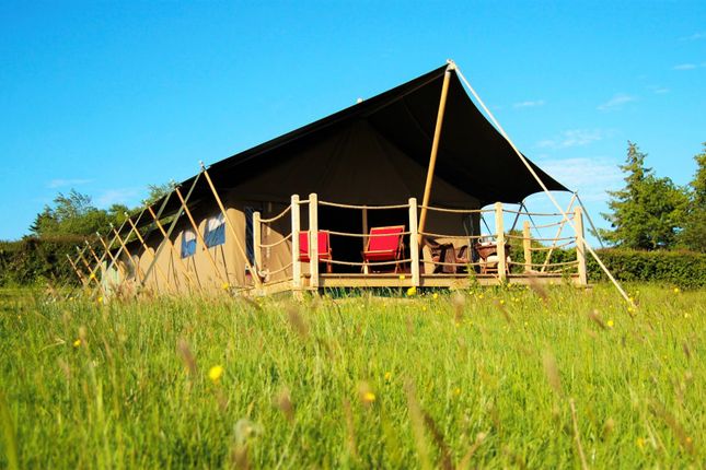 RES, Welcombe & Welcombe Meadow, Umberleigh photo 3