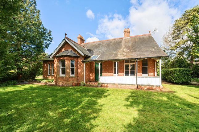 Thumbnail Detached bungalow for sale in Rotten Row, Riseley, Bedford