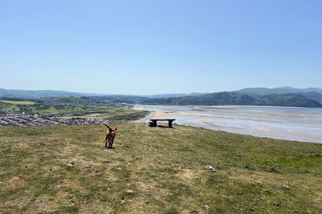Llwyn, Tyn Y Coed Road, Llandudno photo 2