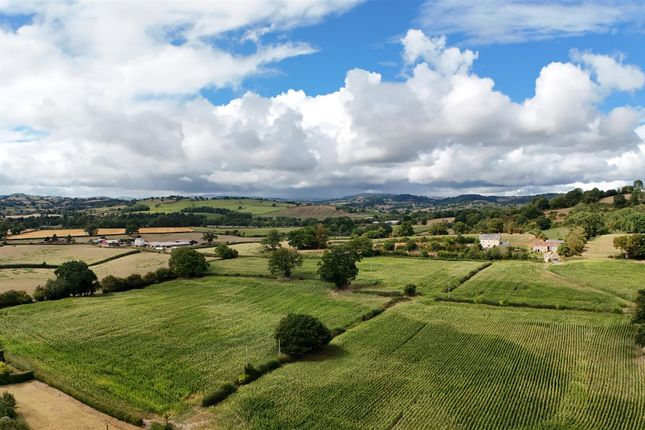 Dji_20250814142636_0013_D.Jpg