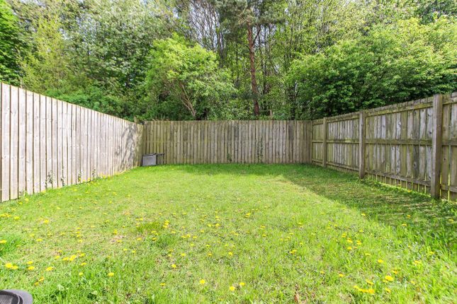 Garden - Rear