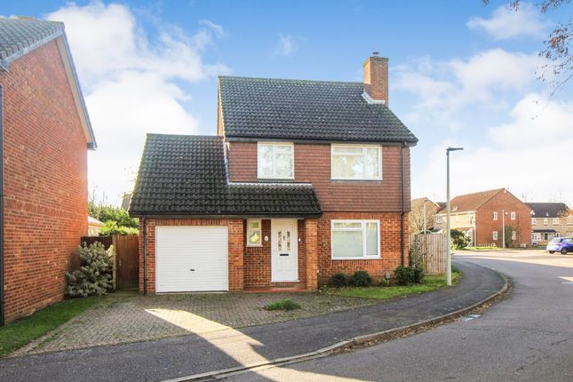 Thumbnail Detached house to rent in Honeysuckle Way, Bedford