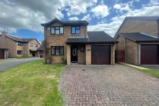 Thumbnail Detached house to rent in Derby Drive, Peterborough