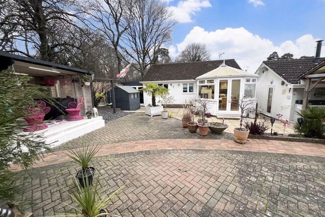 Detached bungalow for sale in Grebe Close, Creekmoor, Poole