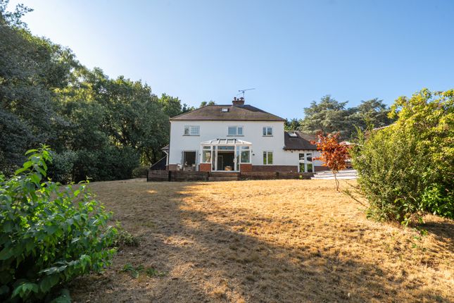 Echo Barn Cottage,, Echo Barn Lane, Farnham photo 4