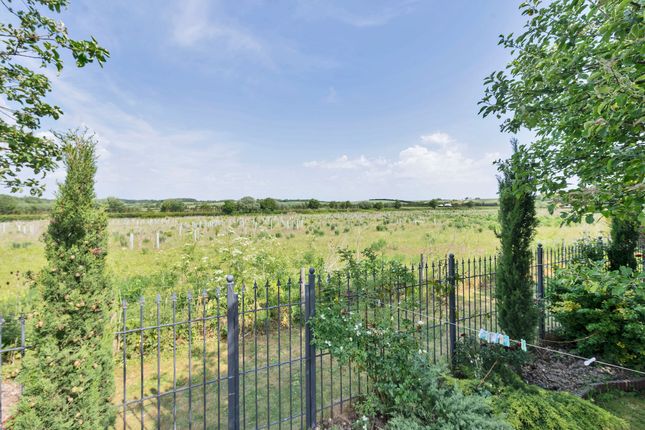 11 Hillside, Royston photo 4