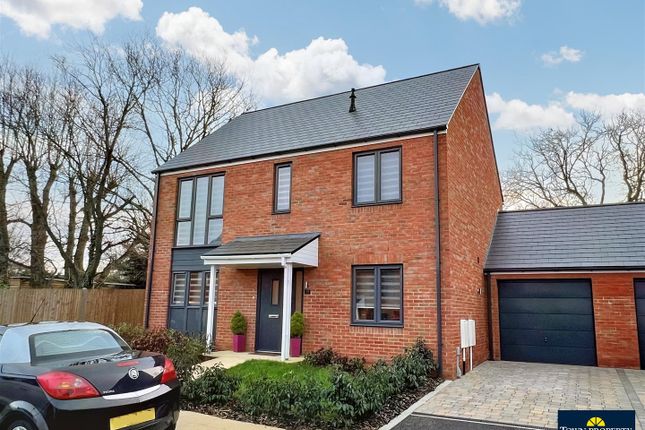 Thumbnail Detached house for sale in Birch Road, Polegate