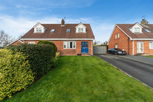 16, Ashburn, Ballynahinch photo 2