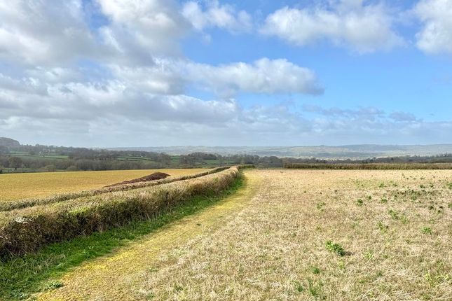 1, Moolham Lane, Ilminster photo 3