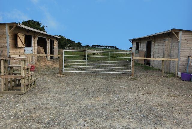 Thumbnail Equestrian property for sale in Crymych