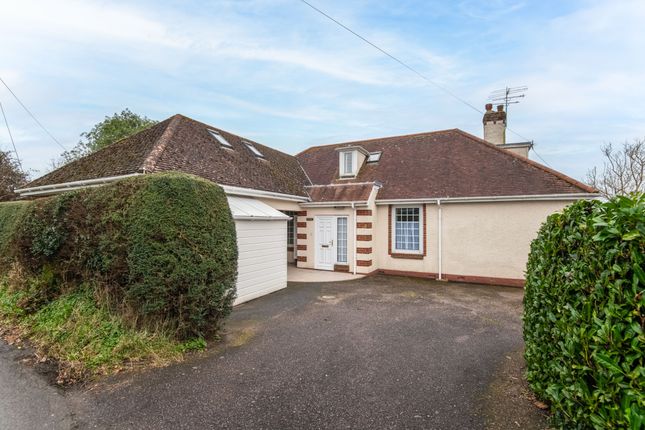 Bungalow for sale in Longdogs Lane, Ottery St. Mary