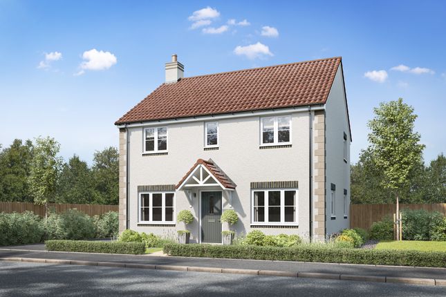 4-bed detached on Home 1 - The Fareham, Mulberry Road, Congresbury, £560,000