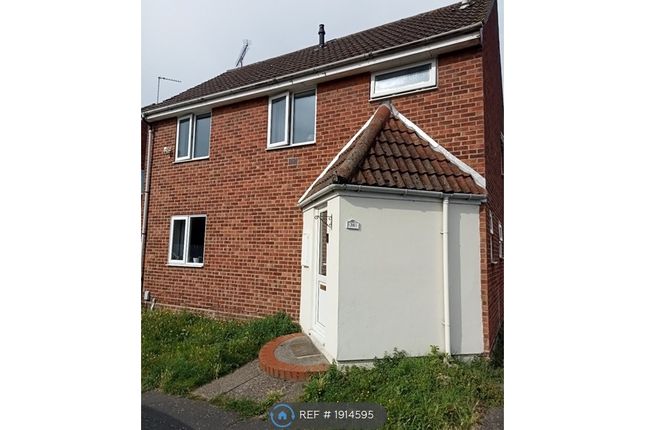 Thumbnail Detached house to rent in Roach Vale, Colchester