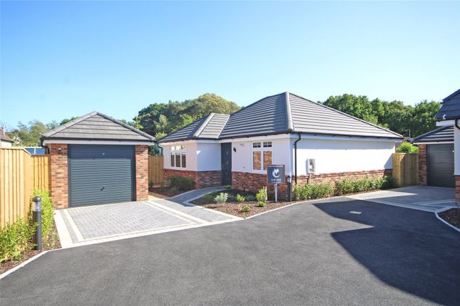 Thumbnail Bungalow for sale in Solent Road, Walkford, Christchurch, Dorset