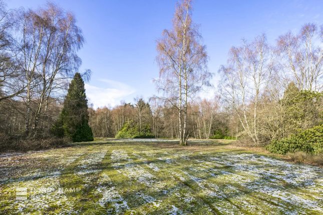 Thumbnail Land for sale in Devenish Road, Ascot