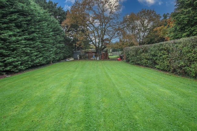 12, Nags Head Lane, Brentwood photo 4
