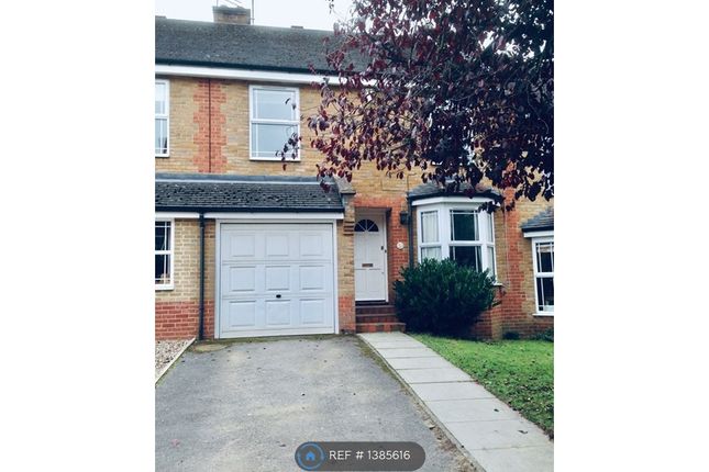 Thumbnail Terraced house to rent in Coates Hill Road, London