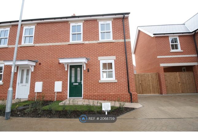 Semi-detached house to rent in Sapphire Crescent, Colchester