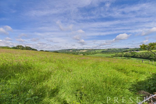 Grazing Land