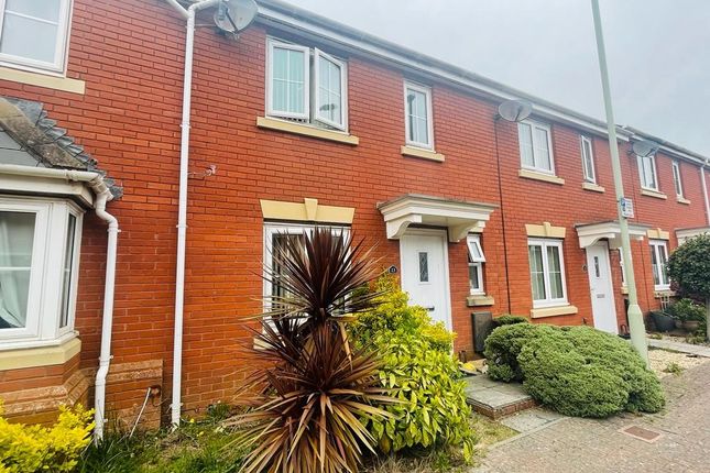 Thumbnail Property to rent in Haddeo Drive, Exeter