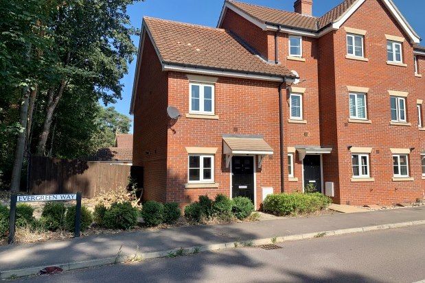 Semi-detached house to rent in Evergreen Way, Bury St. Edmunds