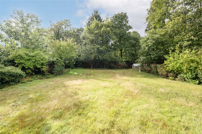 High Birch,, Courtenay Avenue, London photo 4