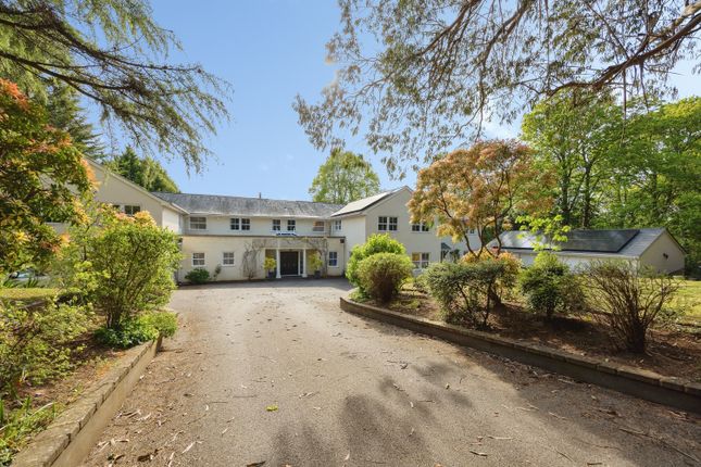 35, Compton Way, Farnham photo 3